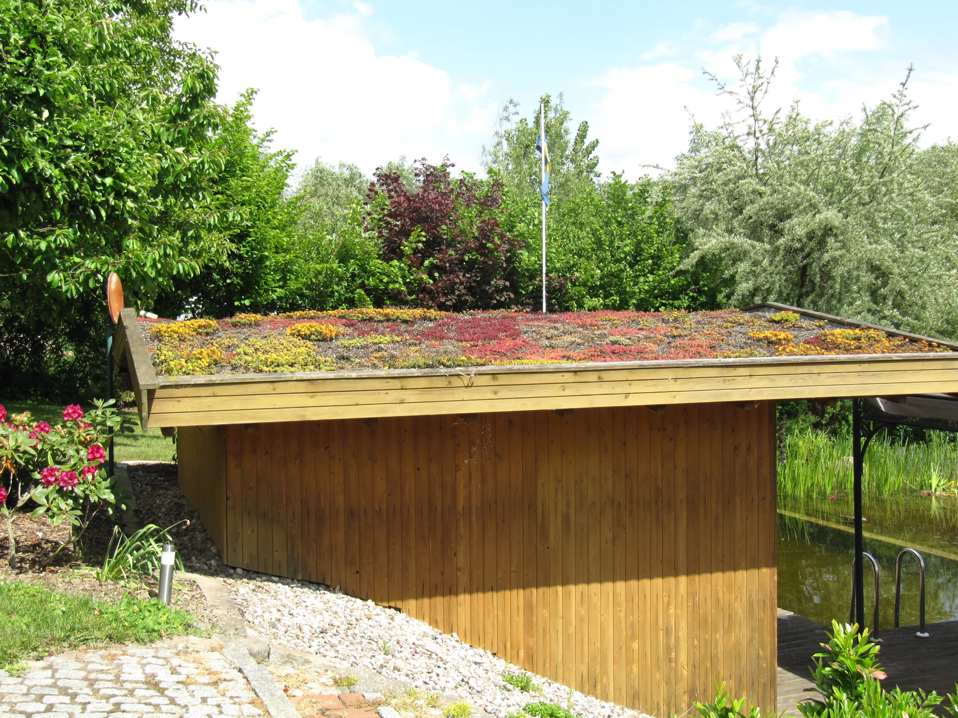 Holz-Gartenhaus am Teich mit begrüntem, blühendem Sedum-Dach