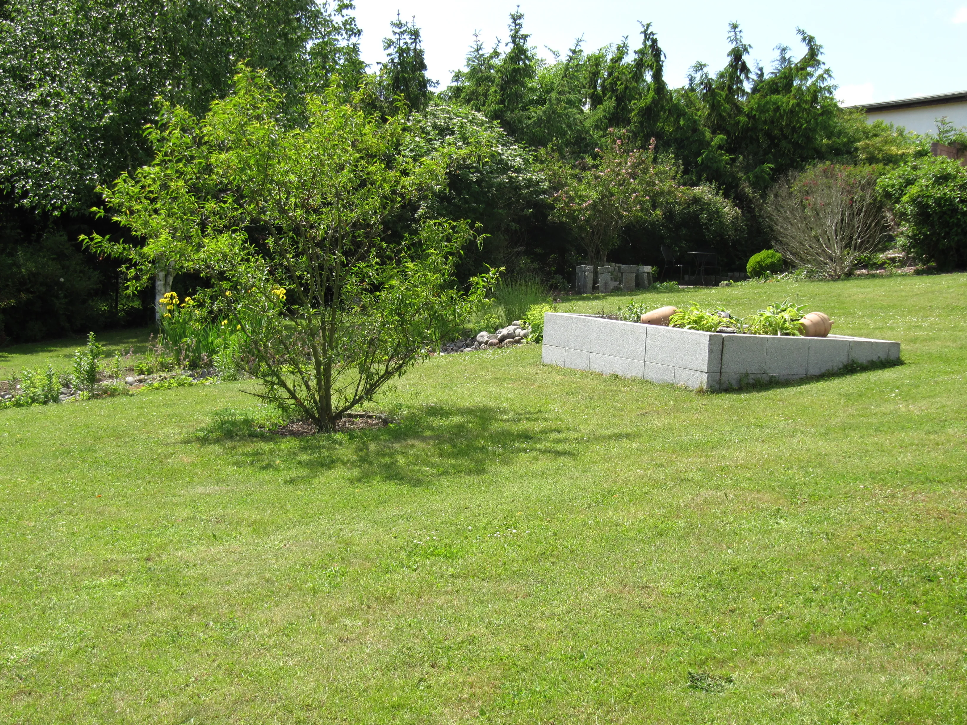 Gepflegte Rasenfläche mit jungem Baum und einem angelegten Hochbeet